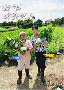投票榜单条目使用的综艺类封面
